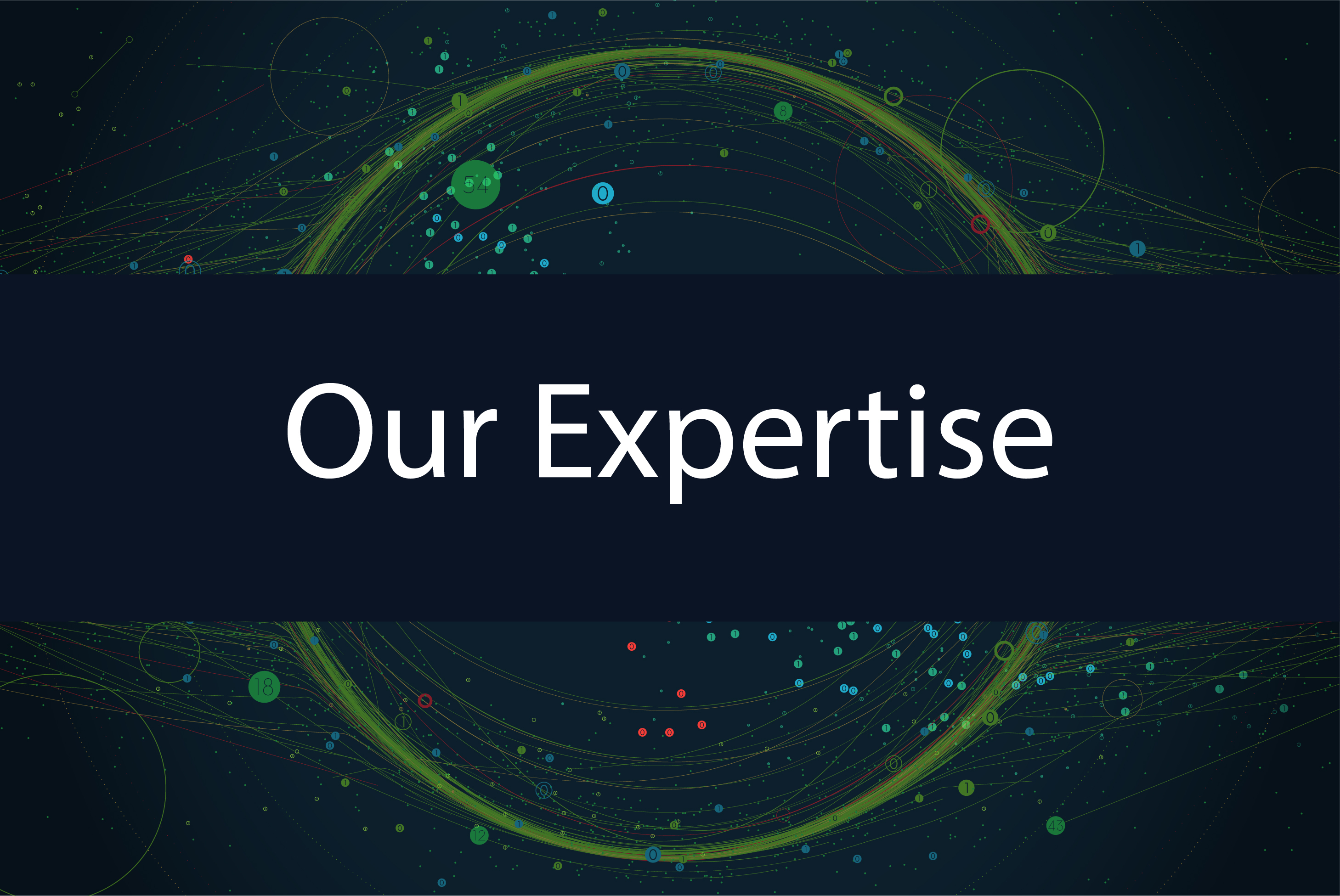 Our Expertise